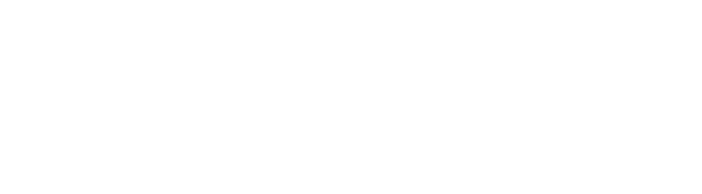 es financiado por la unión europea white outline